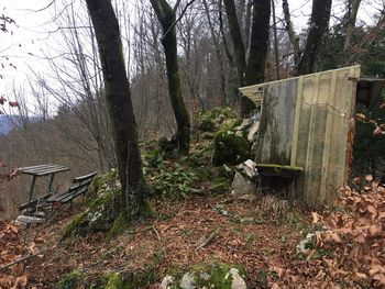 REKREATIVNO NA RIGELJ REKREATIVNO NA RIGELJ