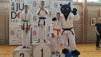 Šest zlatih kolajn za judoiste v Gorici Šest zlatih kolajn za judoiste v Gorici