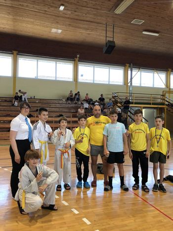 Judo klub Litija v Krškem osvojil 3 kolajne