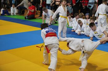 Judo klub Litija z odličnimi uvrstitvami na Kamniškem judo panda turnirju