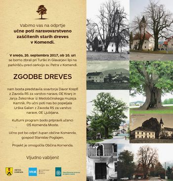 ZGODBE DREVES