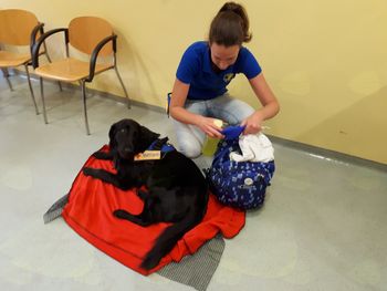 Tačke pomagačke v našem domu