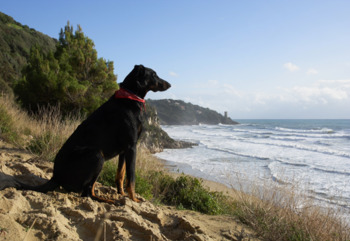 Zbiralna akcija starega papirja v OŠ Brezovica