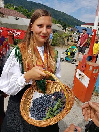 VABILO NA TRADICIONALNI PRAZNIK BOROVNIC