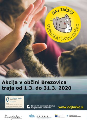 Daj tačko! Steriliziraj svojo mačko