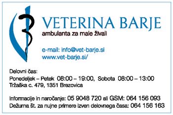 Poziv občanom - sterilizacija in kastracija lastniških mačk