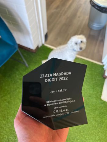 Nova spletna stran Zavetišča Ljubljana prejela zlato nagrado DIGGIT v kategoriji Javni sektor