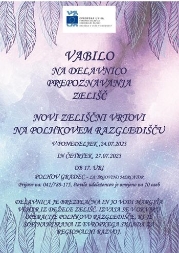 VABILO NA DELAVNICO PREPOZNAVANJA ZELIŠČ