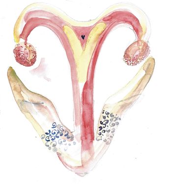 OPREDELITEV v CLINICAL, Ambulanti za ginekologijo in porodništvo, Ana Lasič, dr.med.