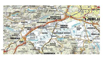 Pohod pripadnikov vojske od Logatca do Ljubljane