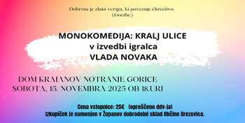 Dobrodelna predstava Županovega sklada - Monokomedija Kralji ulice v izvedbi Vlada Novaka