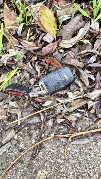 Najden ključ vozila KIA - Vnanje Gorice, Nova pot, blizu križišča proti Ljubljani Najden ključ vozila KIA - Vnanje Gorice, Nova pot, blizu križišča proti Ljubljani