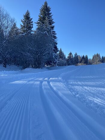 Vabljeni na Rakitno - tekaške proge so urejene