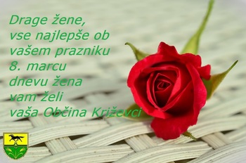 Drage žene, vse najlepše ob vašem prazniku.