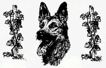 19. občinski praznik - Turnir šolanih psov