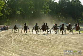19. občinski praznik - Kasaška dirka za pokal Občine Križevci