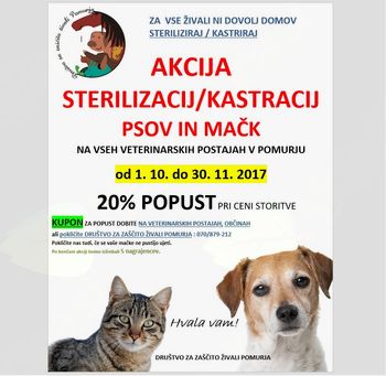 AKCIJA STERILIZACIJ IN KASTRACIJ PSOV IN MAČK JESEN 2017