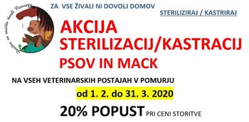 AKCIJA STERILIZACIJ IN KASTRACIJ PSOV IN MAČK