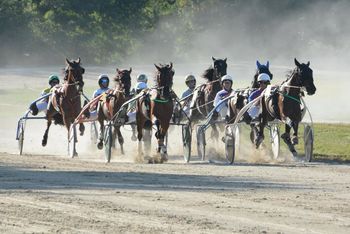 24. Občinski praznik: konjske dirke v Ljutomeru