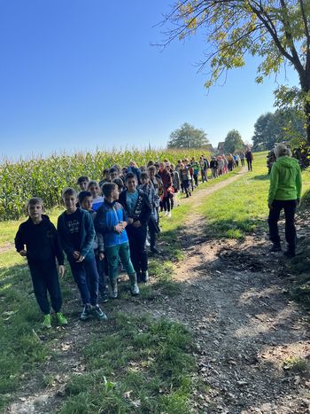 Pouk ob dnevu slovenskega športa