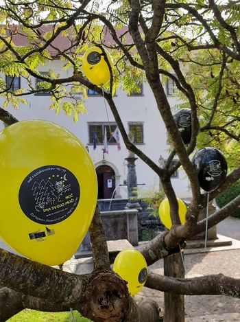 NOČ MOČ 2020 v MPT - PREKO SPLETA!