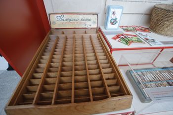 "Človek in hrana v začaranem krogu" z dr. Bogatajem in delavnica za otroke