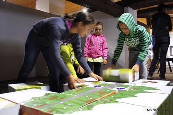 Sredi tedna v muzej: Odkrivanje muzejskih zbirk za najmlajše