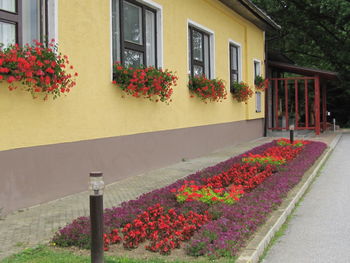 Prisotnost medobčinskega inšpektorja v prostorih Občine Gornji Petrovci