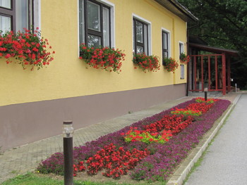 Prisotnost medobčinskega inšpektorja na občini Gornji Petrovci