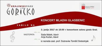 Koncert Anje Kučan v koncertnem salonu gradu Grad