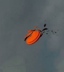 Streljanje na glinaste golobe v Križevcih v Prekmurju