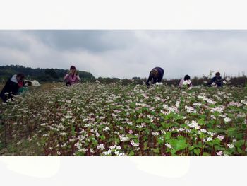 PROGRAM DELAVNIC (v Večgeneracijskem centru ŠTORKLJA) za mesec NOVEMBER. 