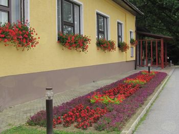 Obvestilo krajevnega urada v Gornjih Petrovcih