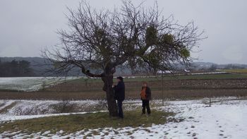 Začetek projekta "Vzdrževanje kmetijske krajine za ptice in metulje na Goričkem ali na kratko Gorička krajina".
