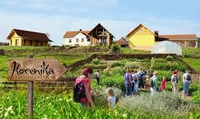 Predavanje: Vzgoja lastnih sadik 