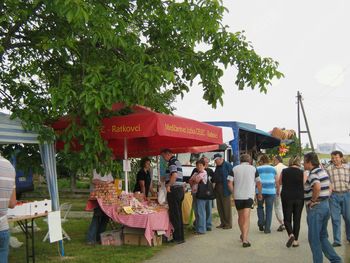 Kramarski sejem "Buča pri Nedeli" v Gornjih Petrovcih