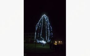 Prižiganje adventnih lučk na smreki pred osnovno šolo v Gornjih Petrovcih