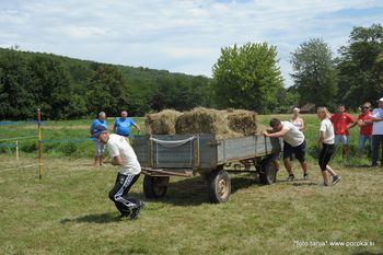 25. VAŠKE IGRE OBČINE GORNJI PETROVCI V KOŠAROVCIH