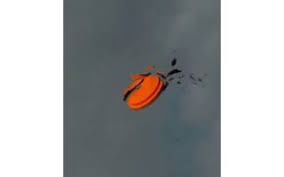 STRELJANJE NA GLINASTE GOLOBE