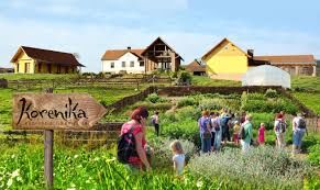 Eko-socialna kmetija KORENIKA v mesecu juliju