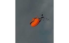 LOVSKI PIKNIK S STRELJANJEM NA GLINASTE GOLOBE, V KRIŽEVCIH V PREKMURJU