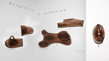 Razstava »To je moj les« v spomin Dragu Koširju