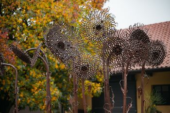 Pri Paldaufovih iz Vučje vasi poslej poleg znamke BeEko tudi Jurakovo »Sončnično polje«