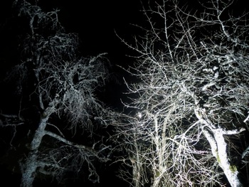 24. pohod čez goro k očetu 24. pohod čez goro k očetu