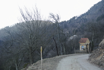 Ponovoletni pohod na Uršljo goro (2.1.2017) Ponovoletni pohod na Uršljo goro (2.1.2017)
