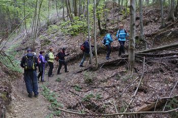 Izlet po koroških hribih Izlet po koroških hribih