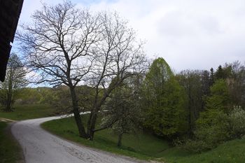 Izlet na Nebeško goro (958 m) Izlet na Nebeško goro (958 m)