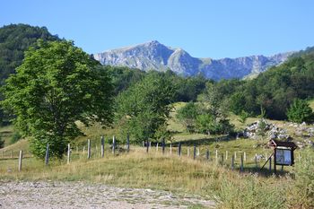 POTEPANJE PO BOSNI POTEPANJE PO BOSNI