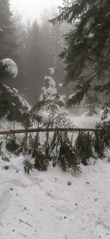 ZAPRTJE PLANINSKIH POTI