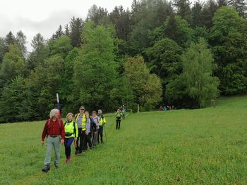 POHOD MISLINJA - POLJANA